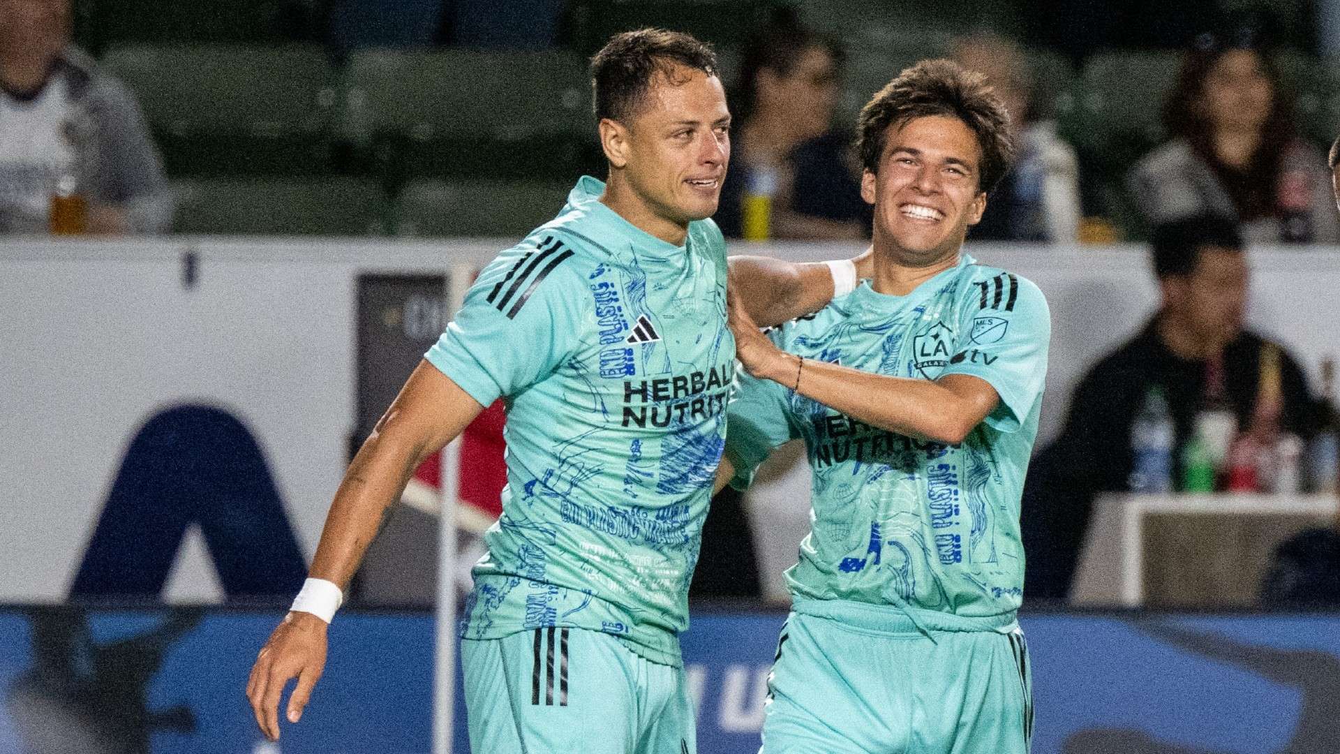 如果没有具 如果没有具